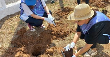 Região do Poço Vila Pereira recebe plantio de 40 mudas nativas para celebrar o Dia da Árvore